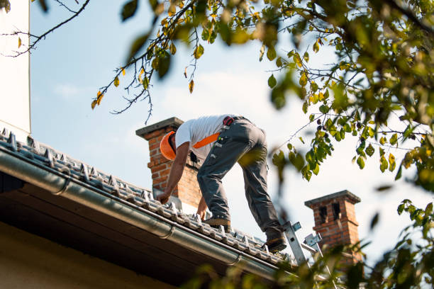 Best Flat Roof Repair Services  in Dock Junction, GA