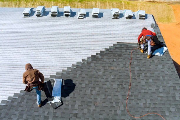 Best Roof Gutter Cleaning  in Dock Junction, GA