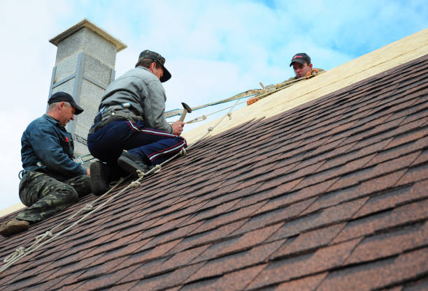 Best Roof Gutter Cleaning  in Dock Junction, GA