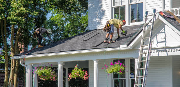 Roof Waterproofing Services in Dock Junction, GA