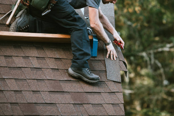 Best Roof Leak Repair  in Dock Junction, GA